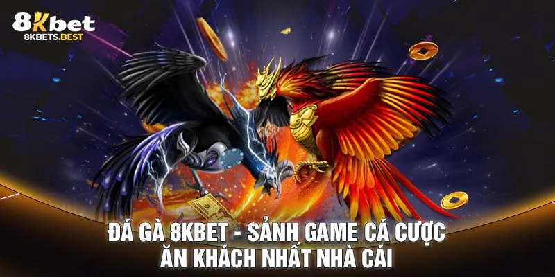 Đá Gà 8KBET - Sảnh Game Cá Cược Ăn Khách Nhất Nhà Cái