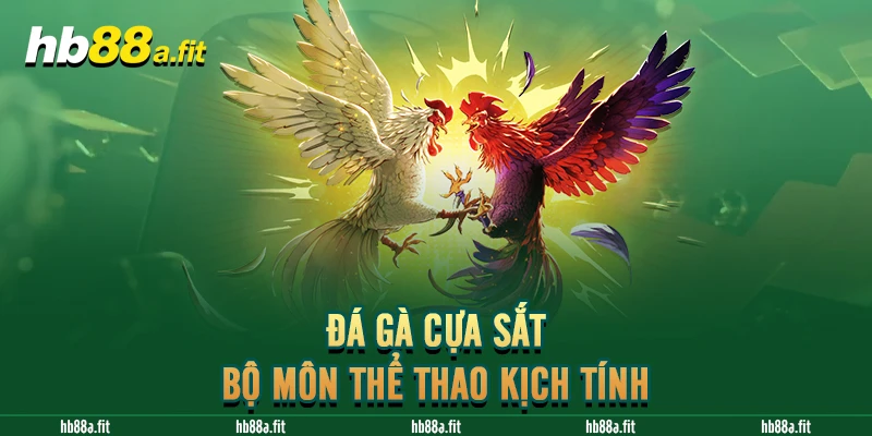 Đá gà cựa sắt – Bộ môn thể thao kịch tính