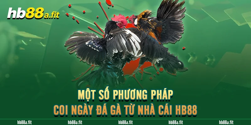 Một số phương pháp coi ngày đá gà từ nhà cái HB88