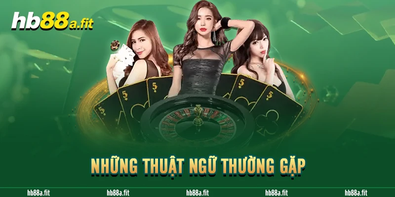 Những thuật ngữ thường gặp