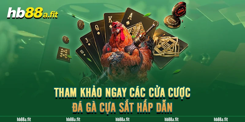 Tham khảo ngay các cửa cược đá gà cựa sắt hấp dẫn