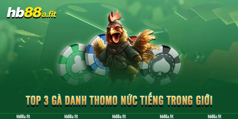 Top 3 gà danh Thomo nức tiếng trong giới 