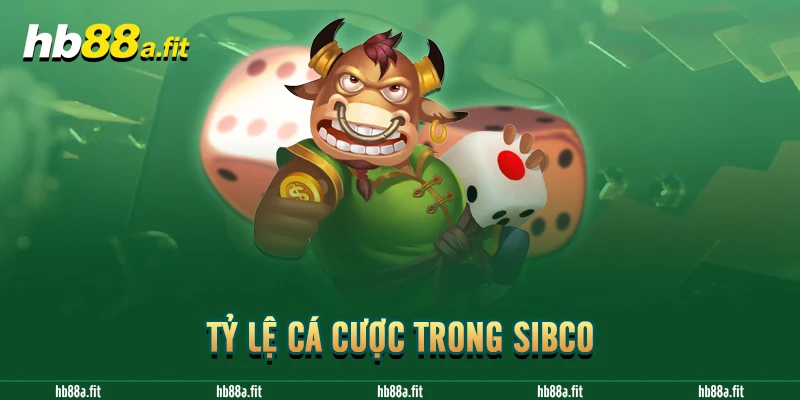 Tỷ lệ cá cược trong Sibco